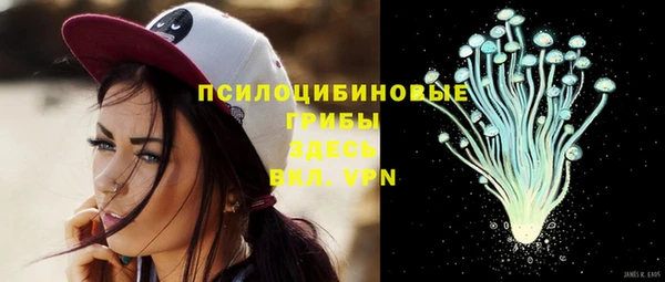 а пвп мука Горно-Алтайск