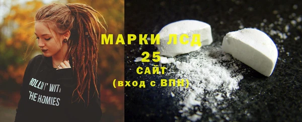 молекула духа Вяземский