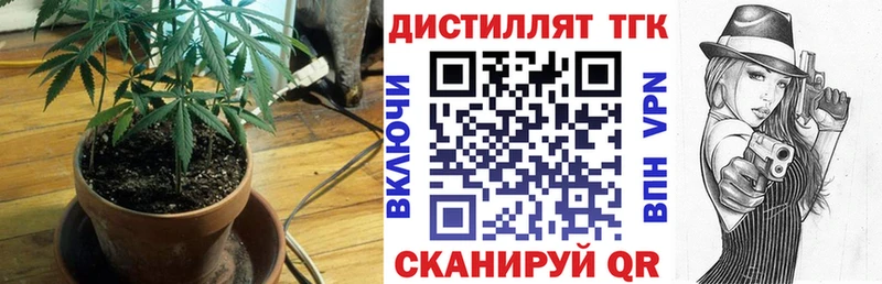 ТГК концентрат  Камышин 