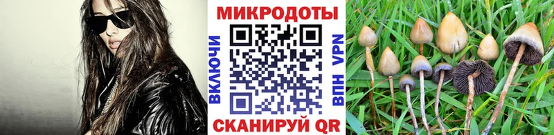 mega tor  Камышин  Галлюциногенные грибы Magic Shrooms 